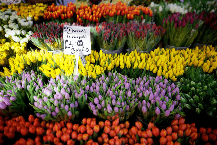 Columbia Road Market