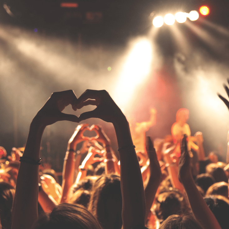 A crowd at a festival 