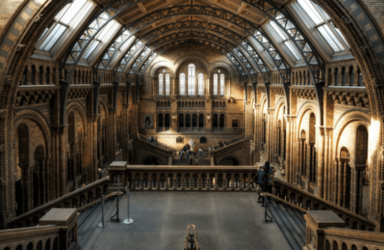 View from the top of the National history museum