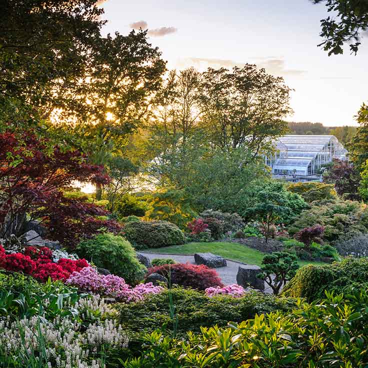 RHS Garden Wisley Glasshouse