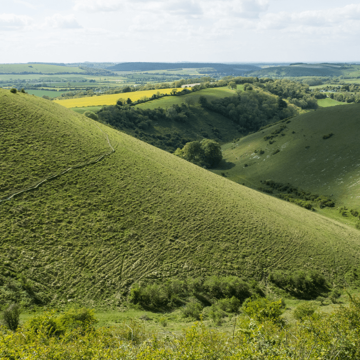 Buster Hill in South Downs