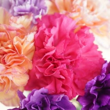 Plan an unforgettable mothers day with SWR