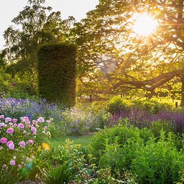RHS Wisley