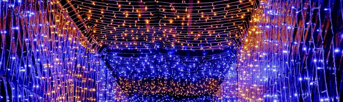 Festive lights