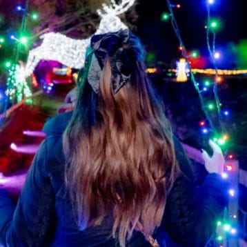 Festive lights