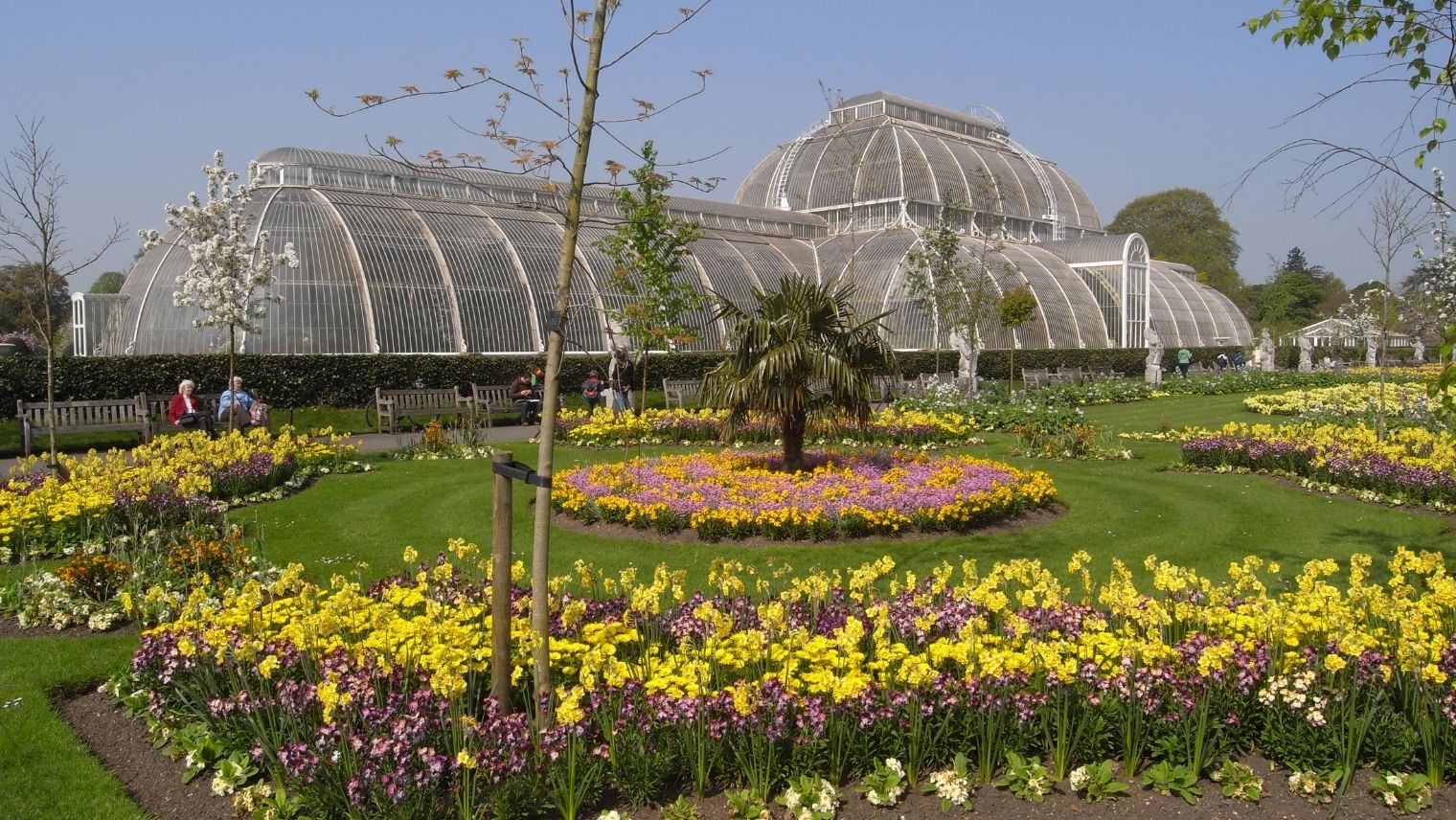 Daffodils and spring flowers at Kew Gardens