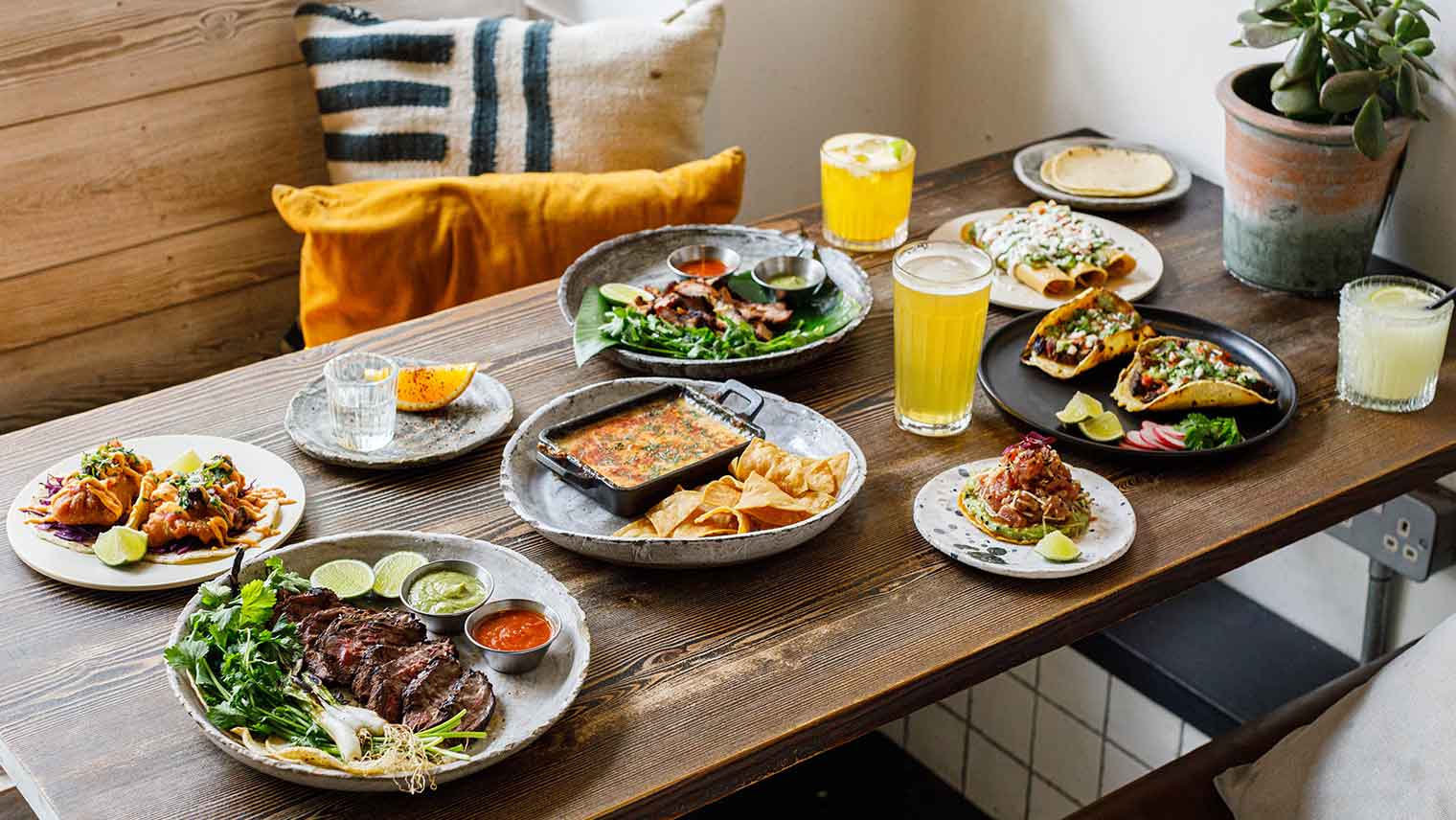 Breddos Tacos