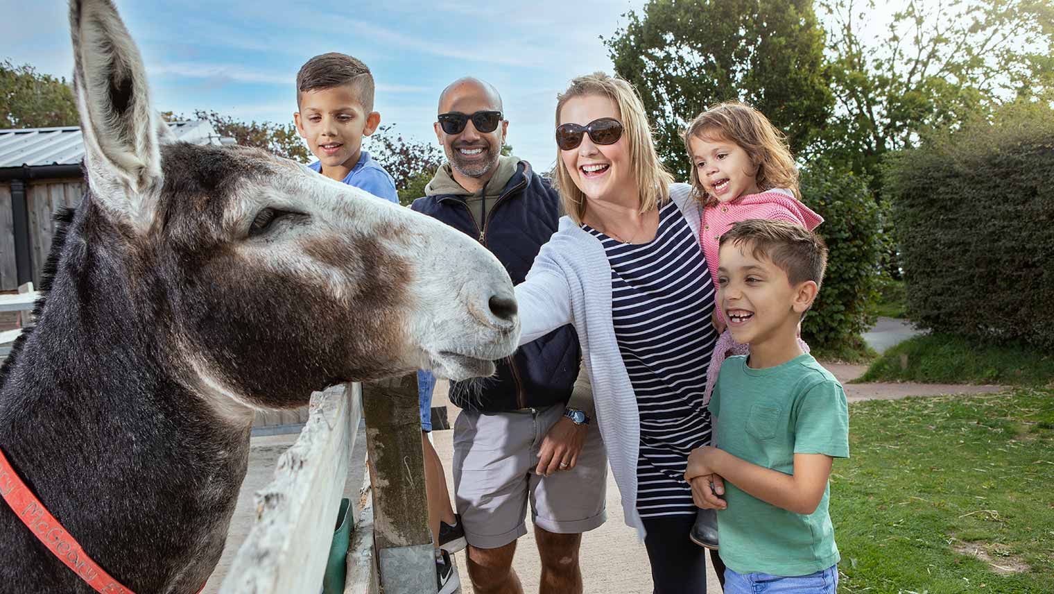 Donkey Sanctuary
