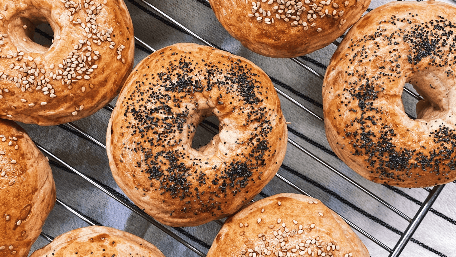 Bagels on an oven rack