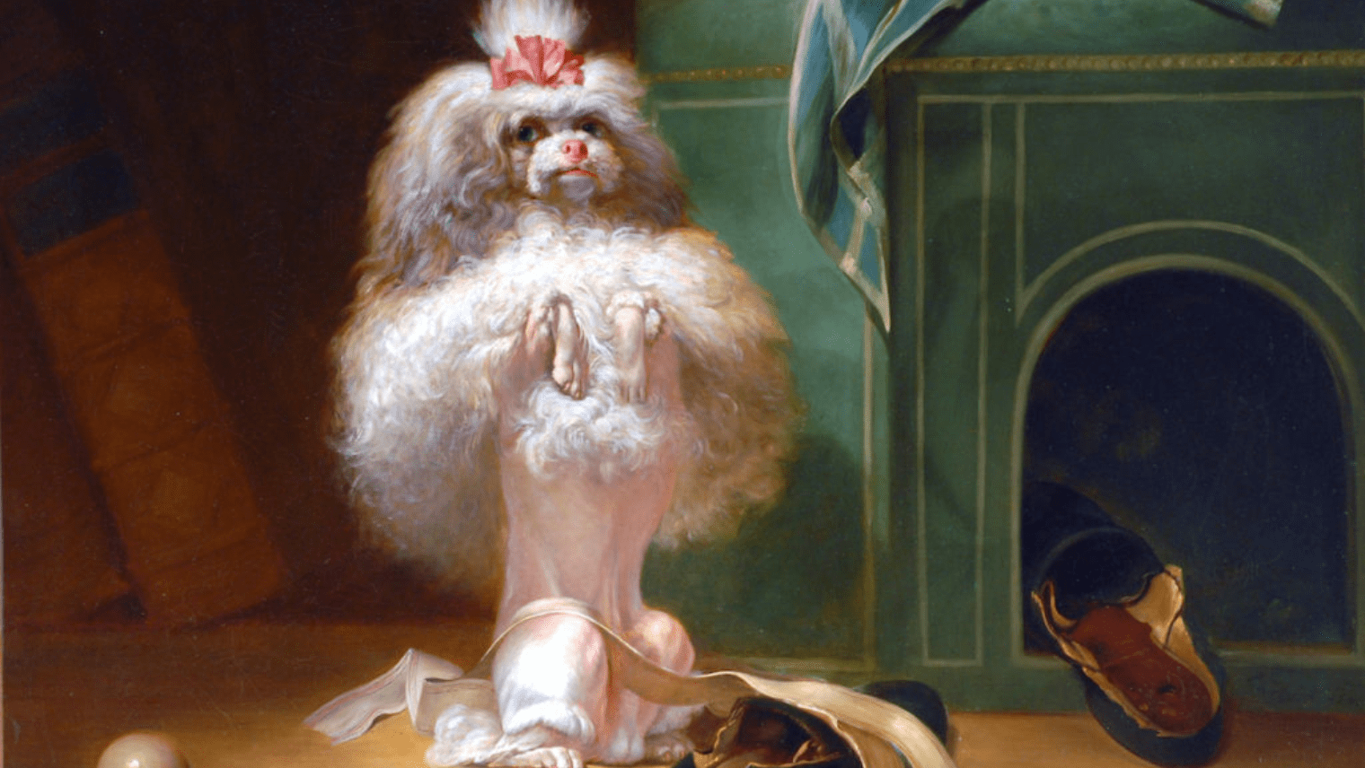 Portraits of Dogs