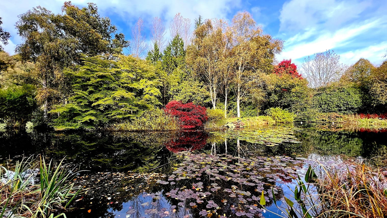 RHS Garden Rosemoor