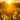 An image of a sunflower field