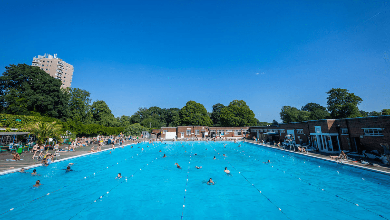 swimming pool at Brockwell Lido