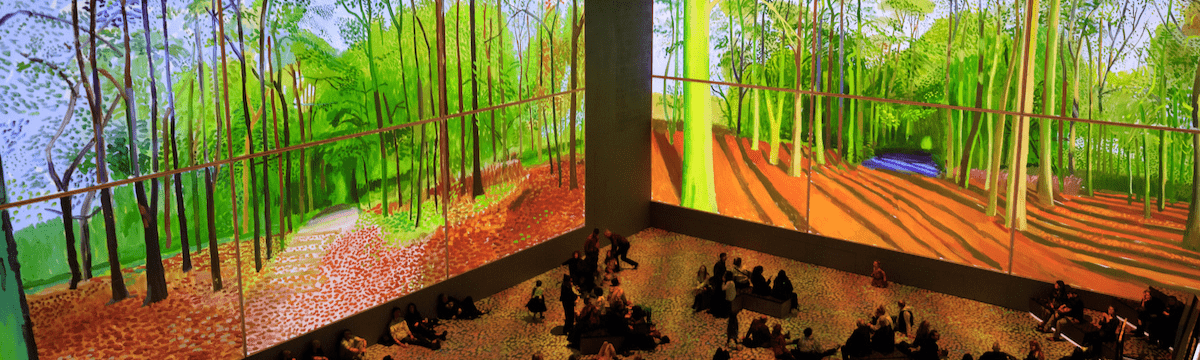 exibition of nature