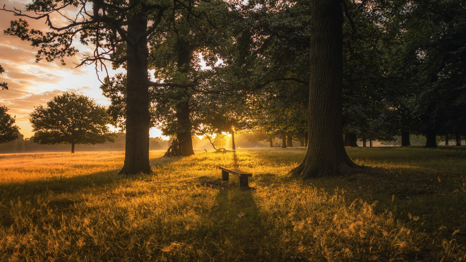 Richmond Park