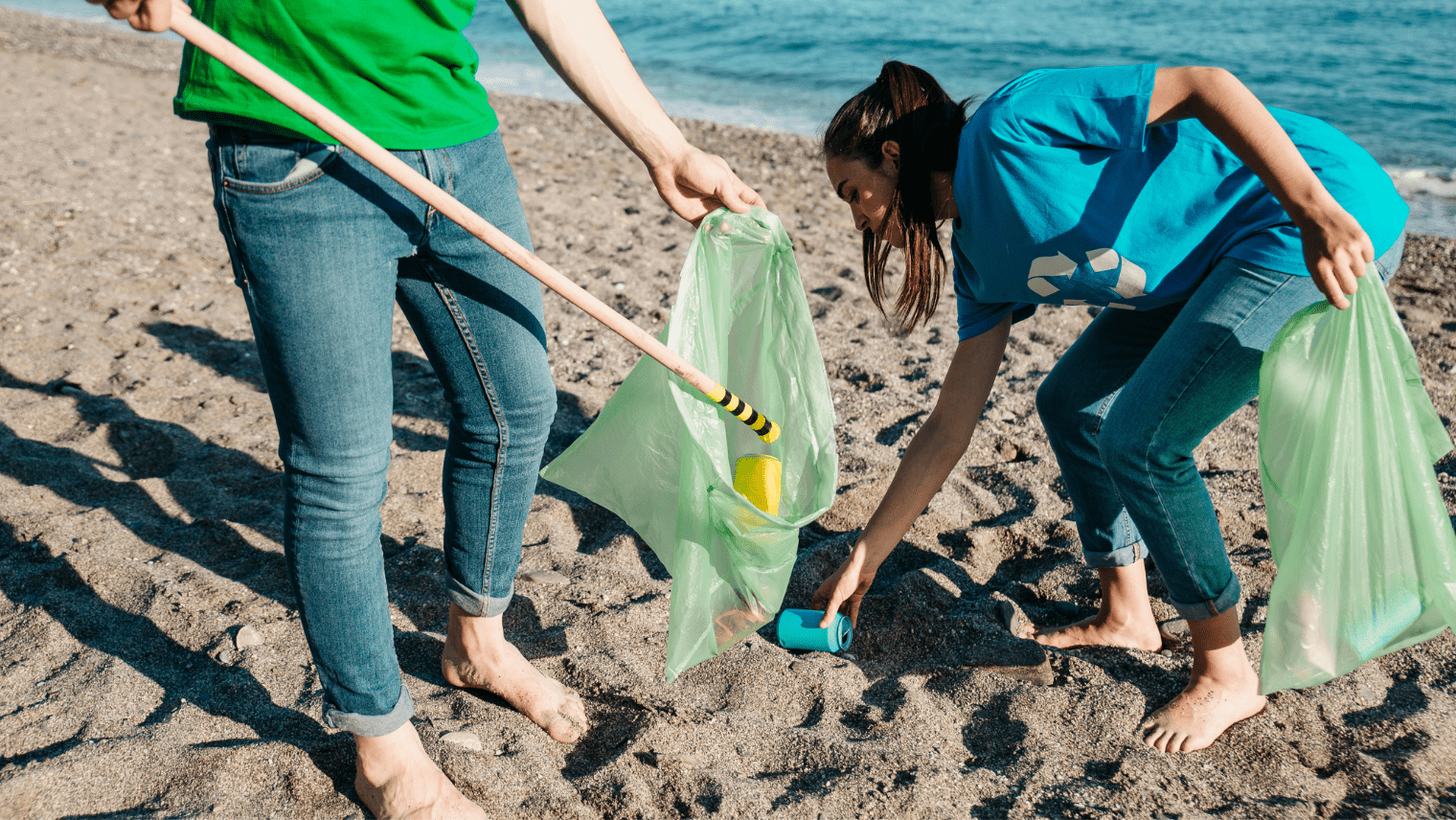 clean the beach 