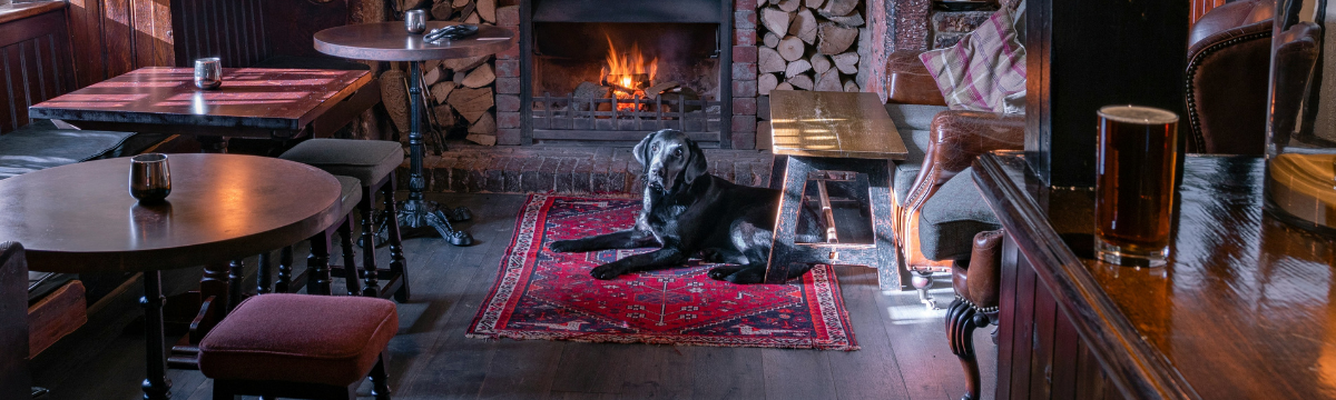 The UK's cosiest pubs