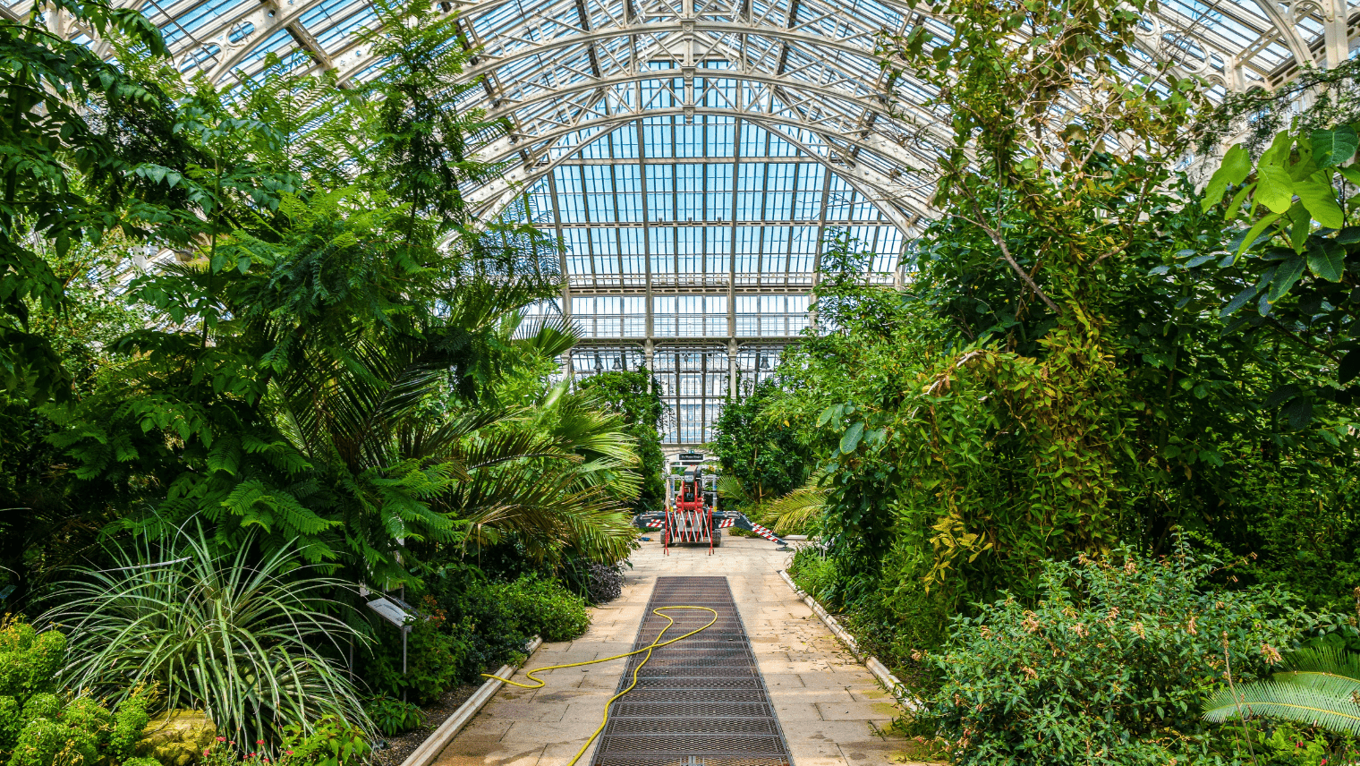 Kew Gardens