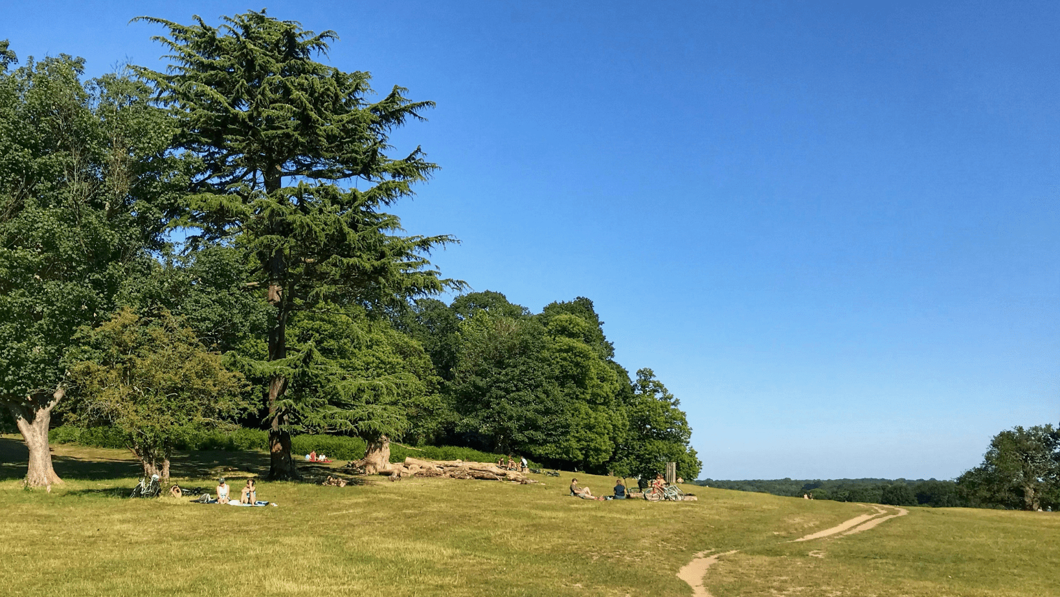 Richmond Park