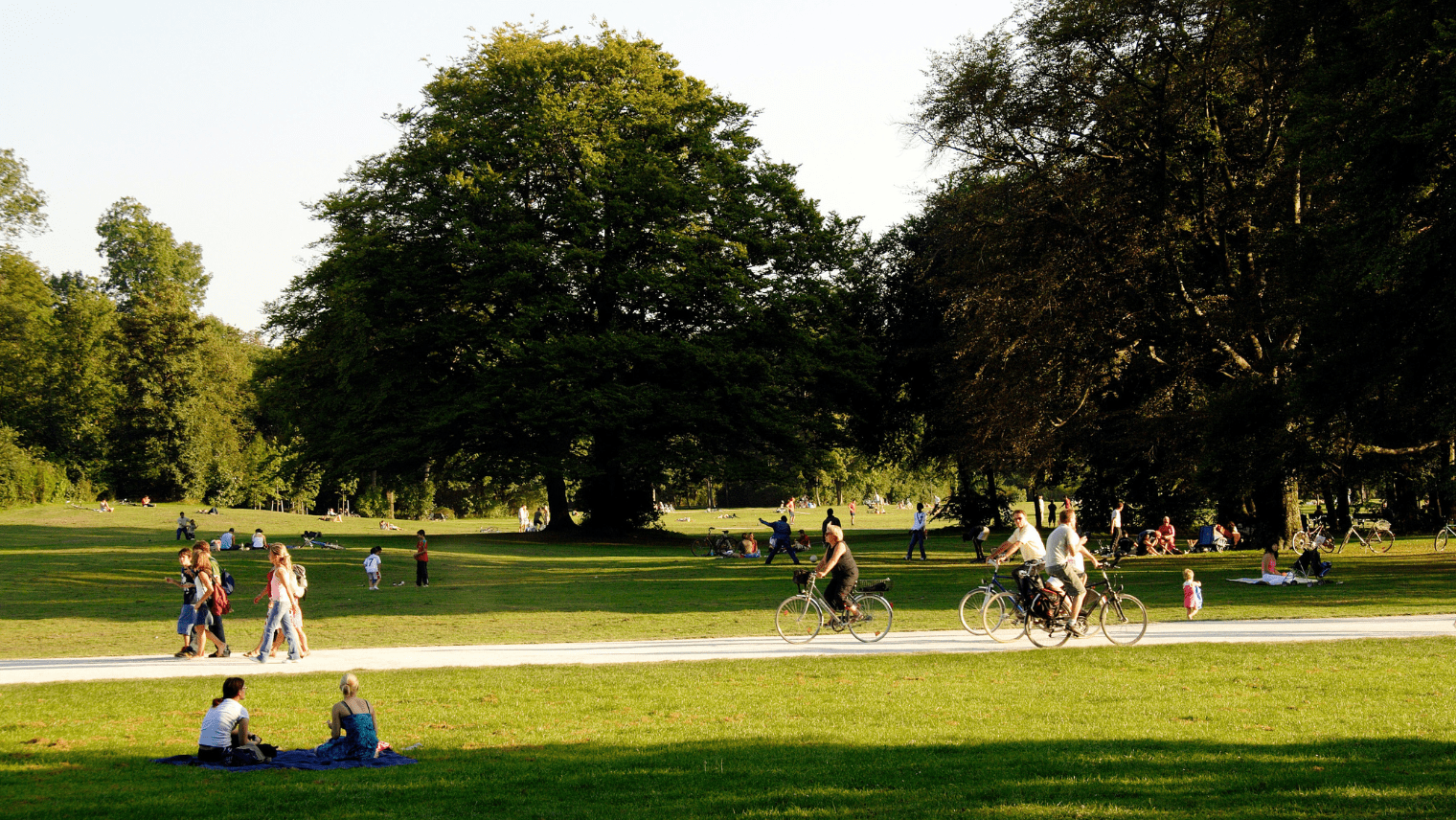 People at a park