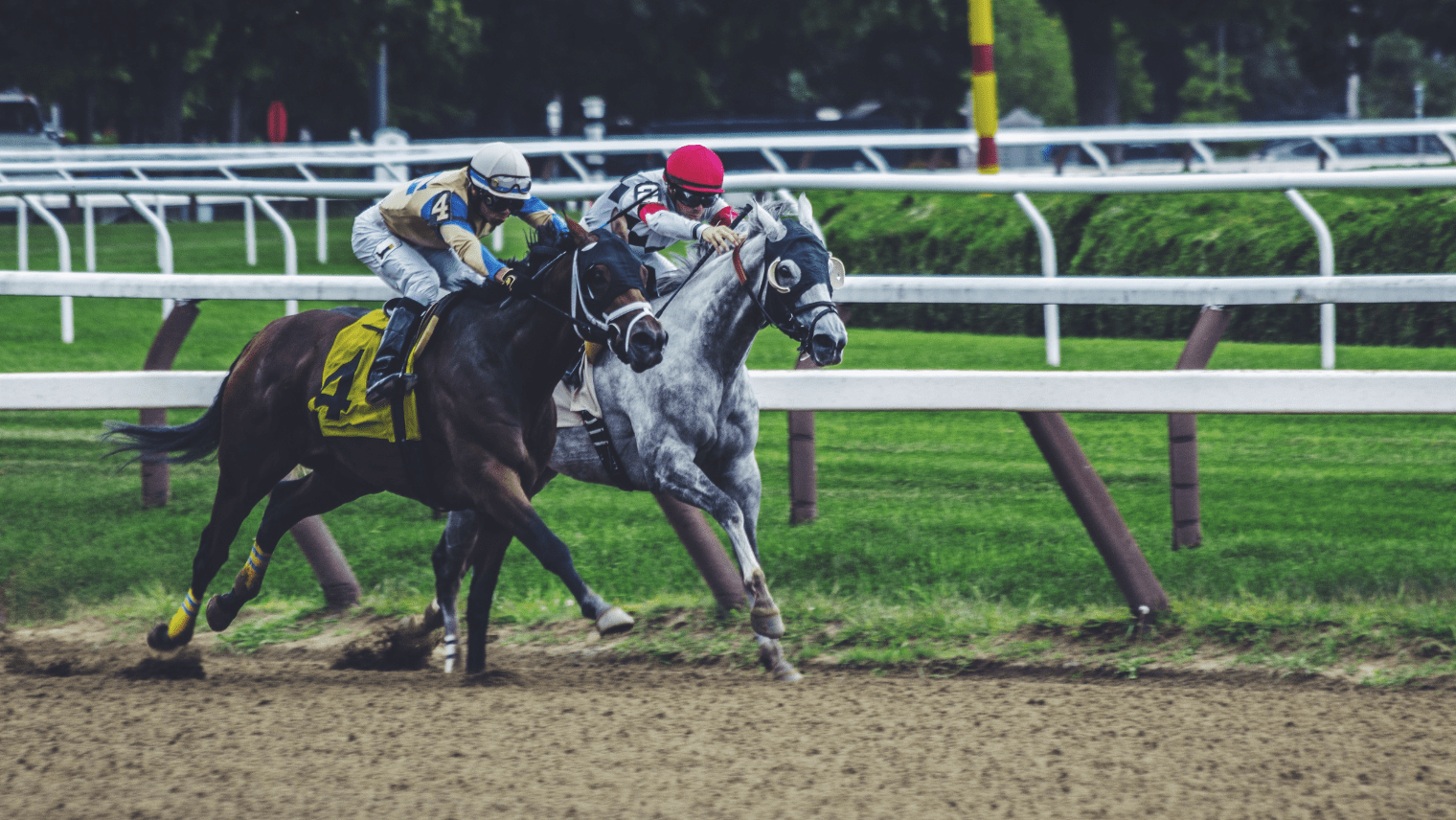 2 Horses racing