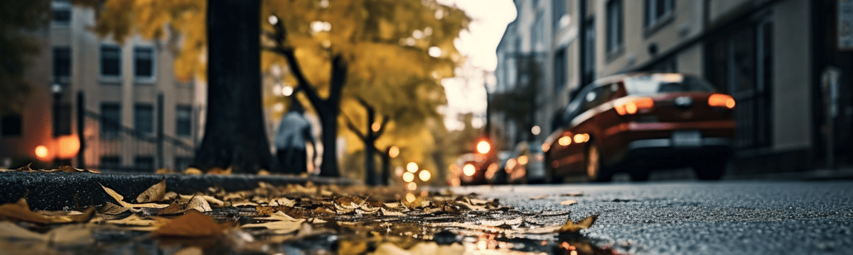 Leaves on the streets and the sky is reflected in the water