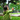 girl play with soap ball in the park