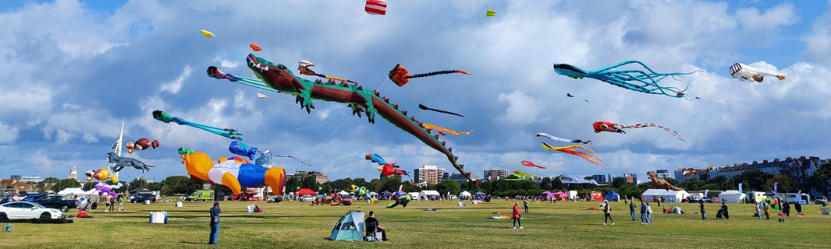 Brightly coloured kites of various shapes, including a long dragon and an octopus, fly over an open park as people watch and relax below.