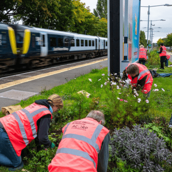 A group of people doing gardening work at a train station
