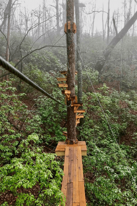 Go Ape Moor Valley