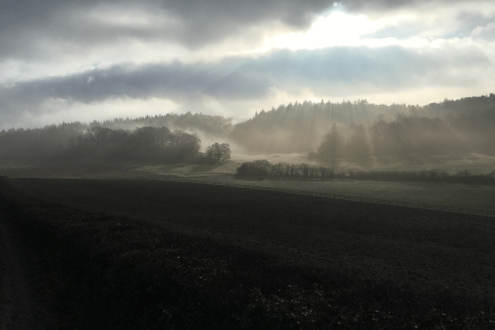 Pewley Down