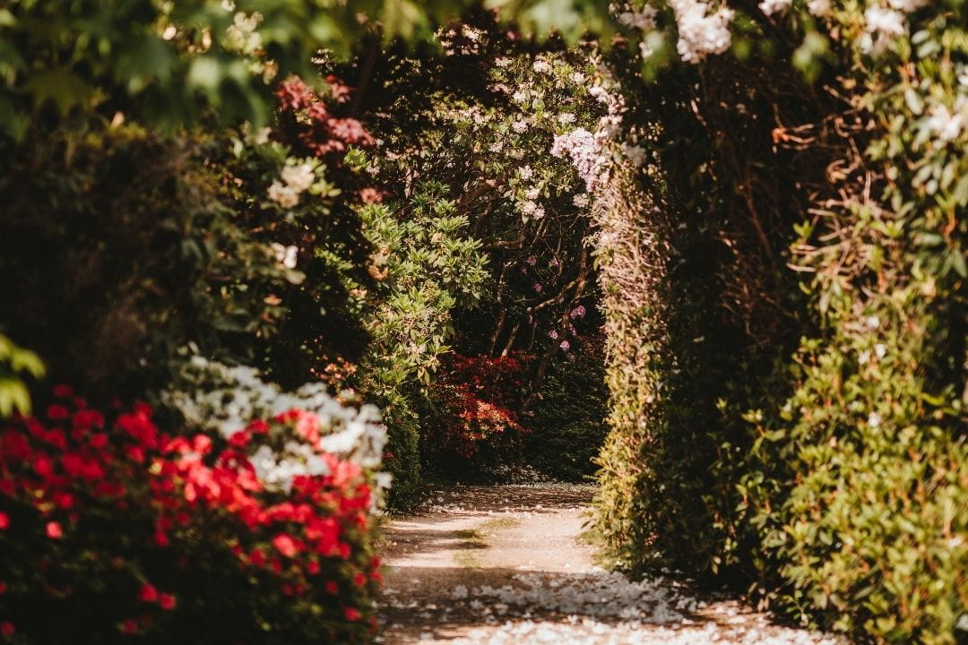Exbury Gardens